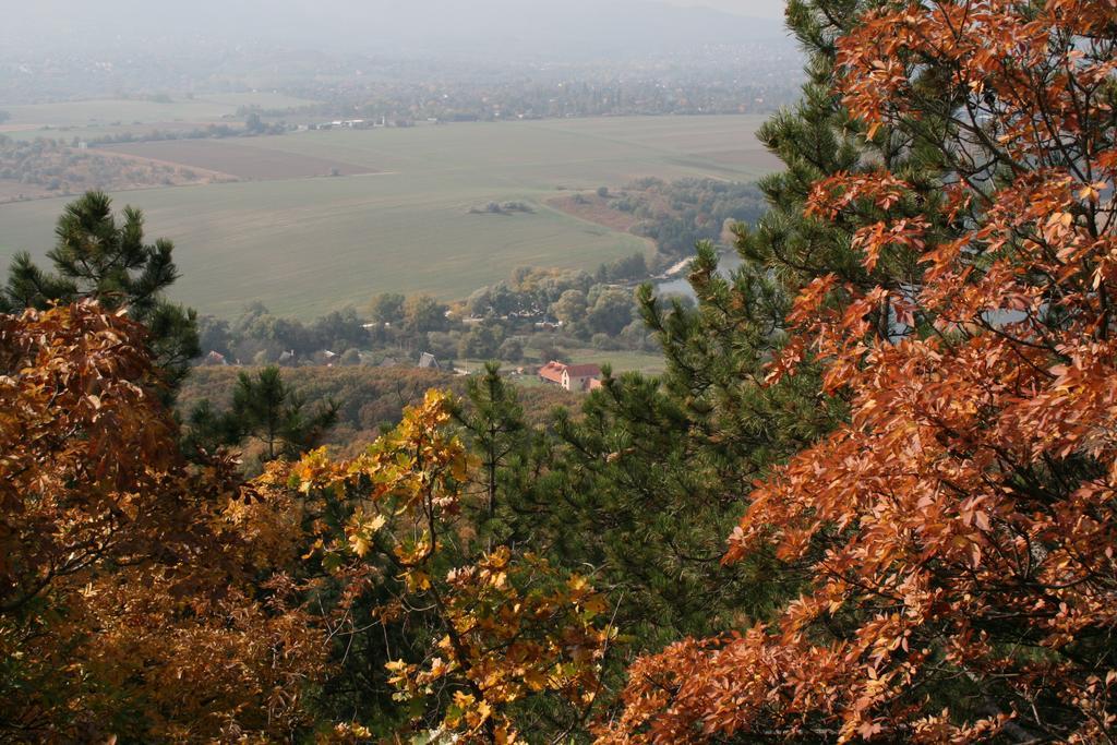 Malomdulo Farmhaz Guest House Pilisborosjenő Екстериор снимка