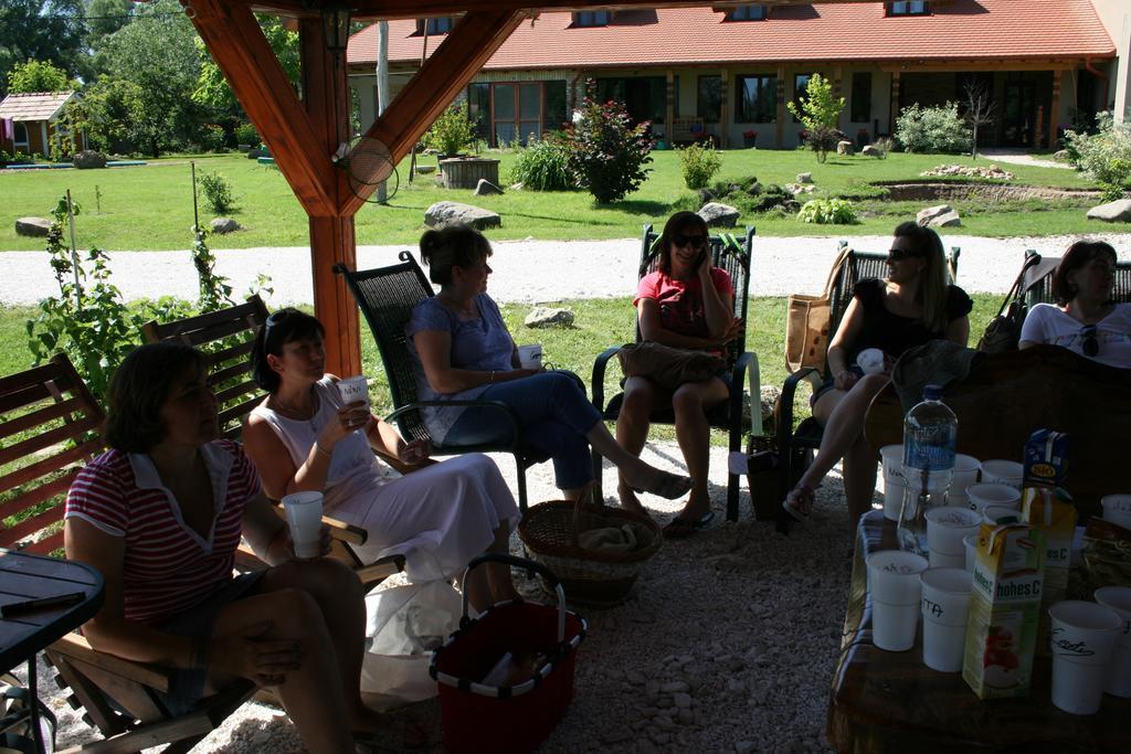 Malomdulo Farmhaz Guest House Pilisborosjenő Екстериор снимка