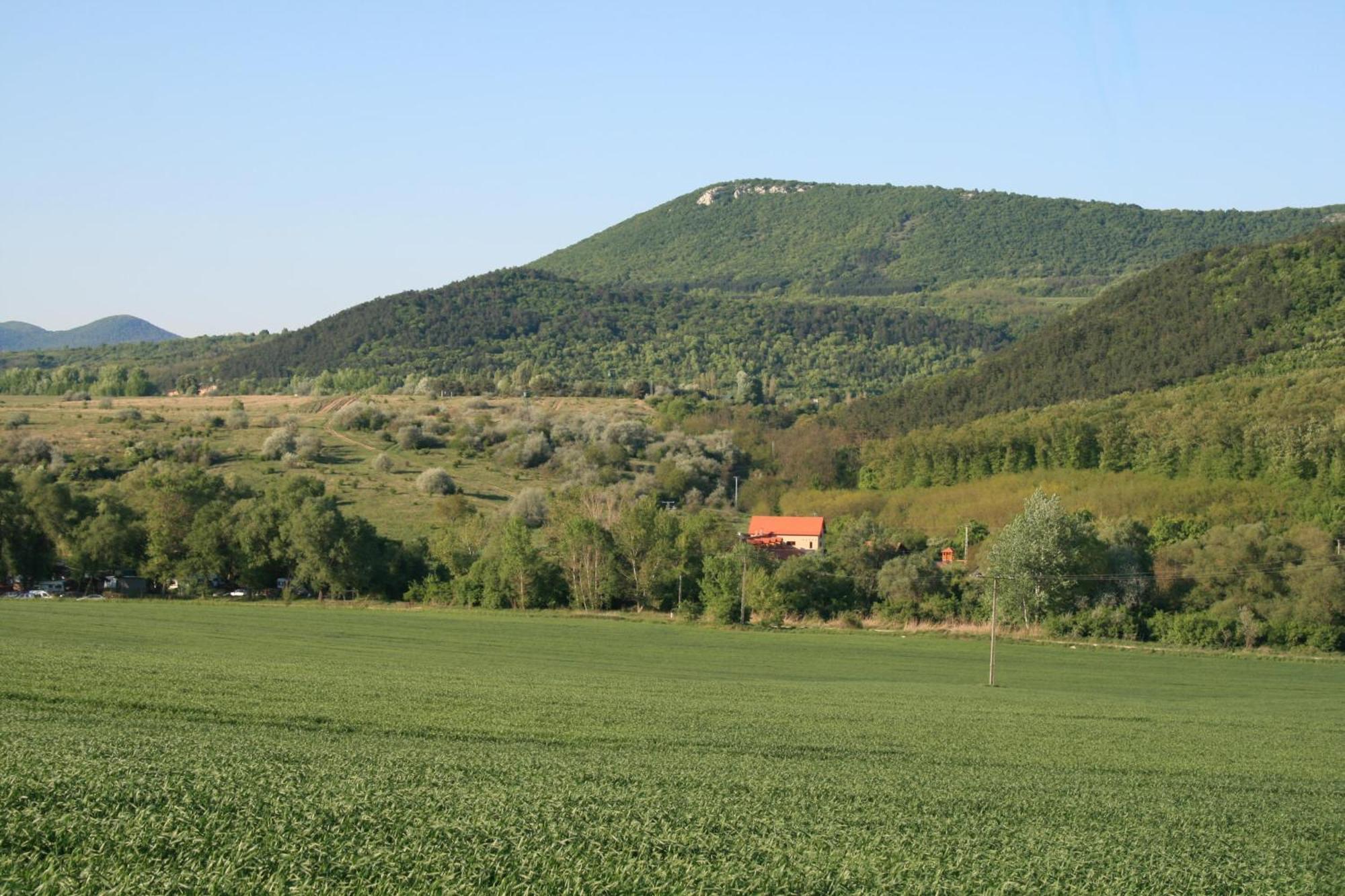 Malomdulo Farmhaz Guest House Pilisborosjenő Екстериор снимка