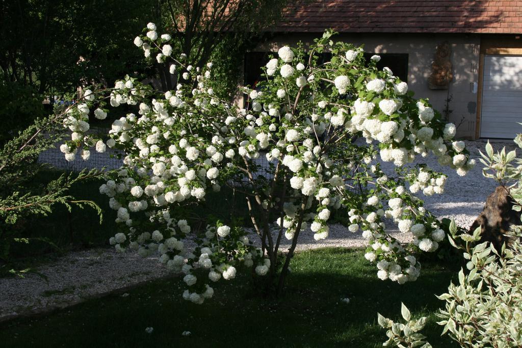 Malomdulo Farmhaz Guest House Pilisborosjenő Екстериор снимка