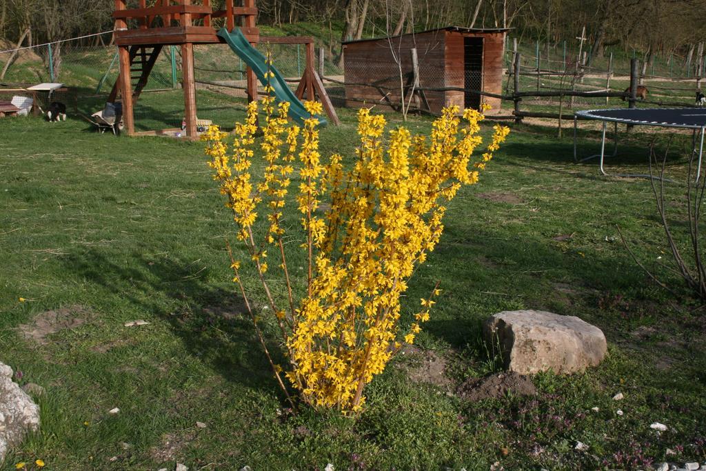 Malomdulo Farmhaz Guest House Pilisborosjenő Екстериор снимка