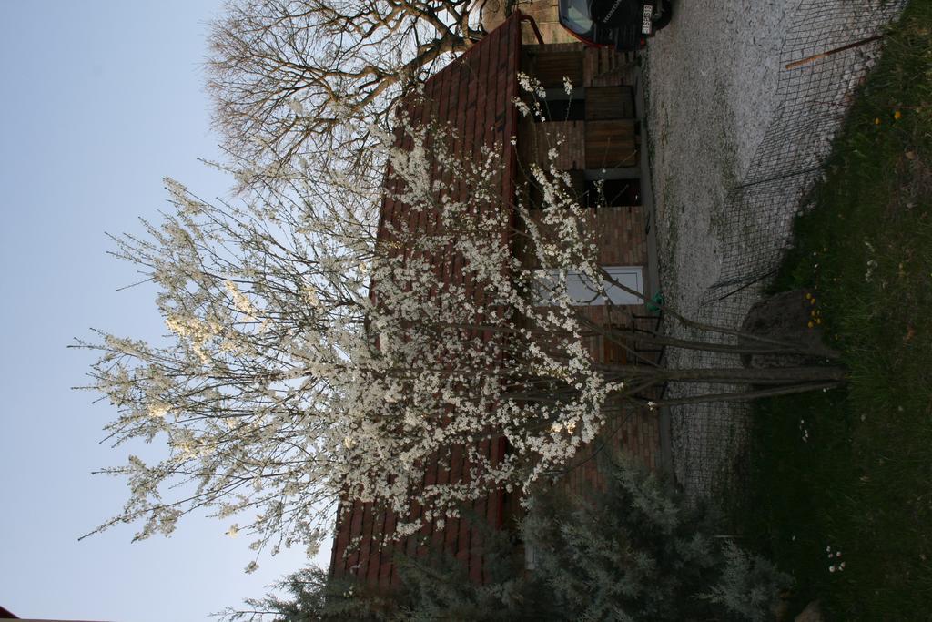 Malomdulo Farmhaz Guest House Pilisborosjenő Екстериор снимка