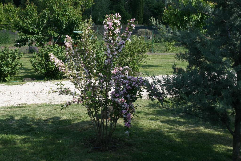 Malomdulo Farmhaz Guest House Pilisborosjenő Екстериор снимка
